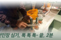 선인장 심기~, 툭툭툭 2분 끝.